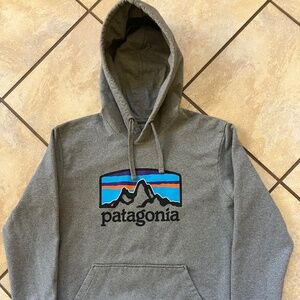 Classic Patagonia Hoodie – Grey with Front Logo, Size Small
